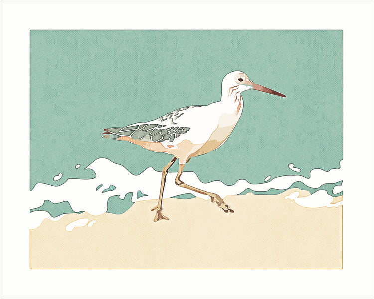 Morning Sandpiper
