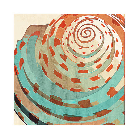 Spiral Shell