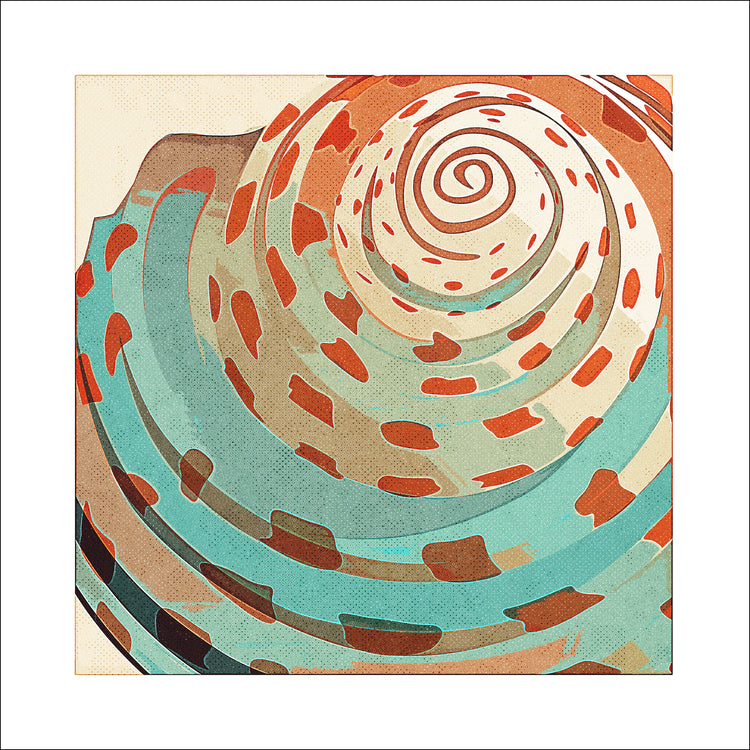 Spiral Shell