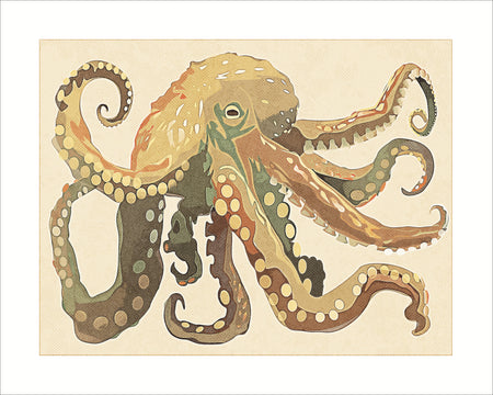 Octopus